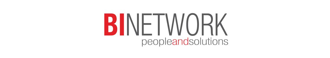 bi network - people and solutions - logo